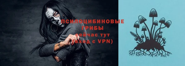 mdpv Алзамай