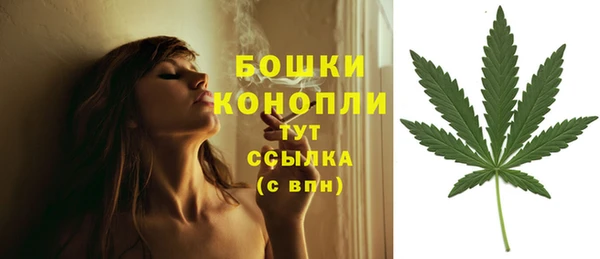 mdma Ельня