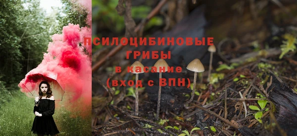 крисы Елабуга
