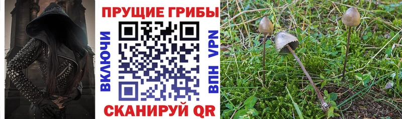 цены наркотик Переславль-Залесский Галлюциногенные грибы Psilocybe